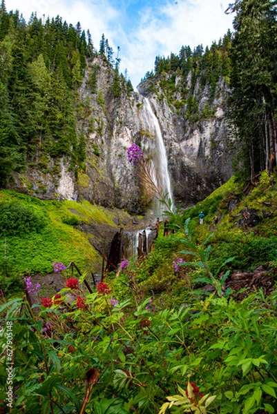 Fototapeta Comet Falls, Mt Rainier