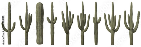 Fototapeta Set of Saguaro cactus or Carnegiea gigantea cactus with isolated on transparent background. PNG file, 3D rendering, Clip art and cut out
