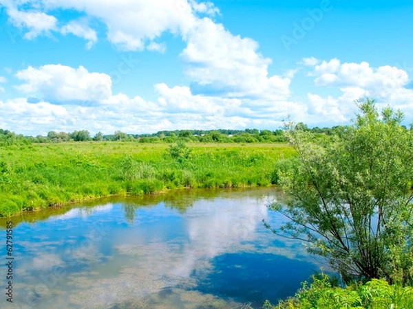 Obraz Rural landscape