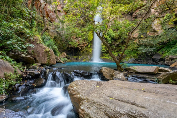 Obraz Catarata La Cangreja - Hidden waterfall surrounded by green trees, vegetation, rocks, leaves floating on green and clear water, Rincon de la Vieja National Park, Costa Rica Wilderness