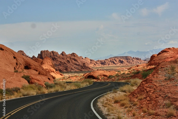 Obraz Street throw the desert