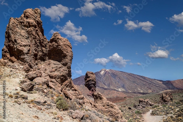 Fototapeta Rogue Cinchado with the Teide volcano in the background on the island of Tenerife. Canary island. Spain.
