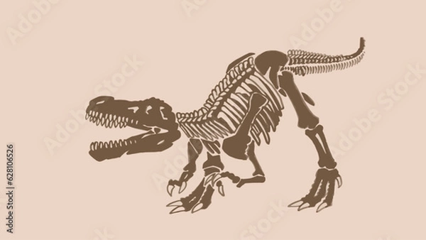 Fototapeta Graphical  vintage skeleton of tyrannosaurus , vector dinosaur of jurassic period, illustration for educational books,printing
