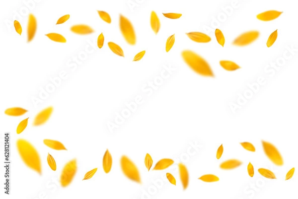 Fototapeta ヒマワリの花びらを切り抜いた、真夏の背景イメージ