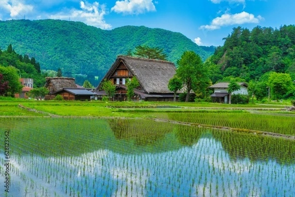 Obraz 早苗映る日本の風景