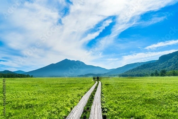 Fototapeta 燧ケ岳への一本道