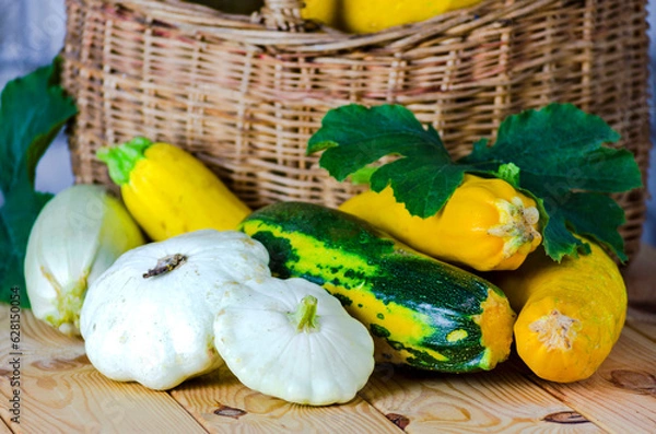 Fototapeta fresh zucchini and squash in a wicker basket