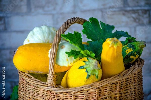 Fototapeta fresh zucchini and squash in a wicker basket