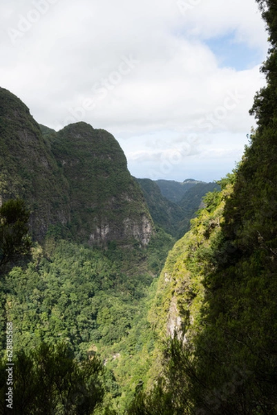 Fototapeta Subtropical jungle in the heart of Madeira, portuguese atlanticIsland with hiker paradise paths
