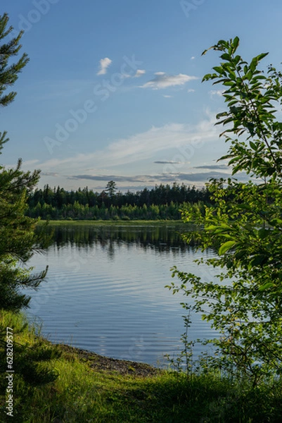 Obraz lake in the forest