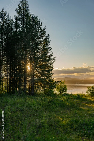 Obraz sunset in the forest