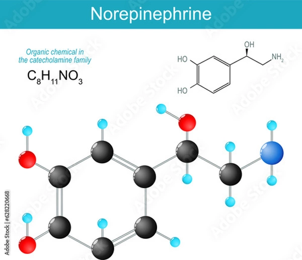 Fototapeta Norepinephrine molecule