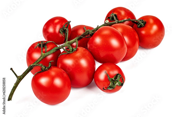 Obraz Cherry tomato