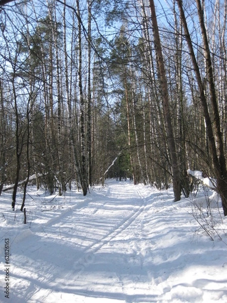 Obraz Дорога в зимнем лесу