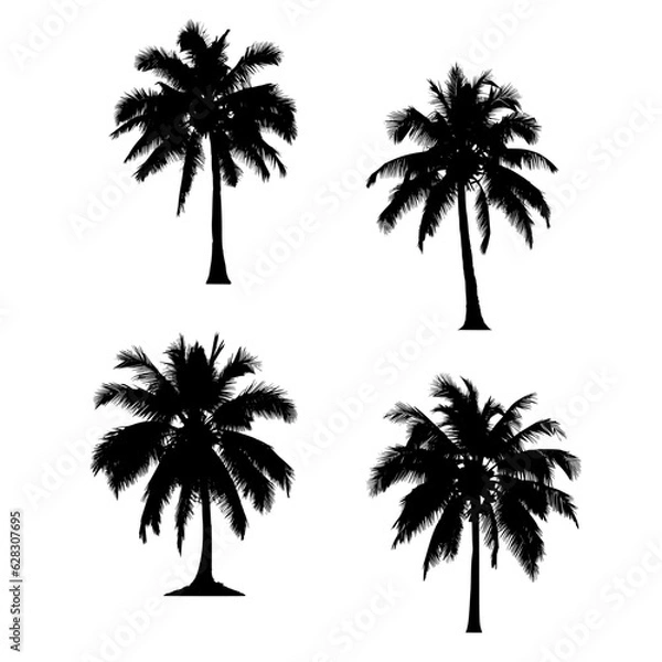 Obraz Vector set of palm tree illustrations. Graphic elements for tropical beach design. black icon of coconut trees isolated on white background.