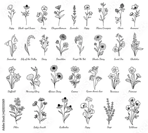 Obraz Minimal Wildflower Set, Minimalistic Flowers Doodle, Hand-drawn, Vector Wildflower & Flower Design, For Tattoo, Cricut, Laser Cut, Branding, Wedding