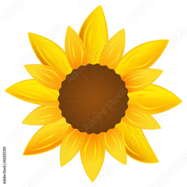 Obraz Sonnenblume