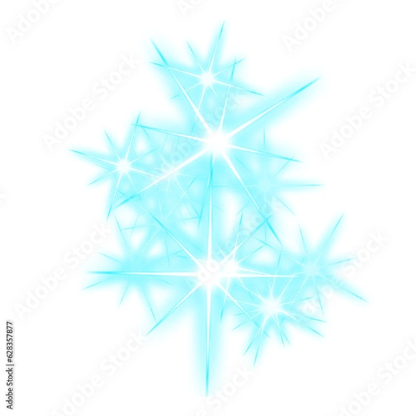 Obraz snowflake