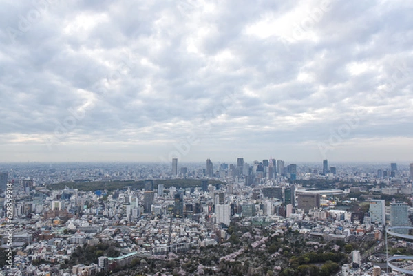 Fototapeta 東京新宿方面のビル群
