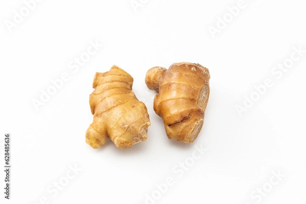 Fototapeta 白背景に新鮮な生姜