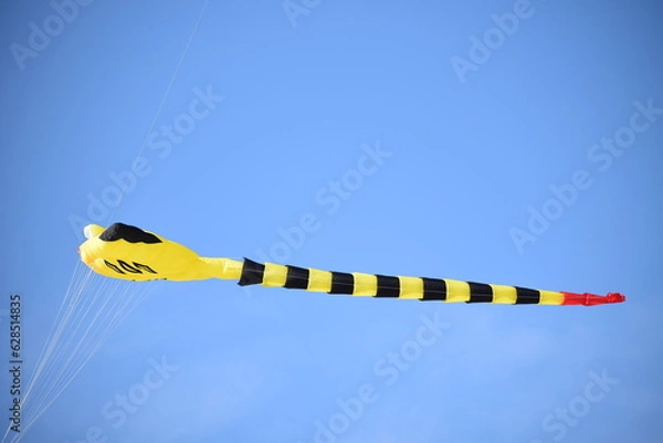 Obraz Drachenfestival