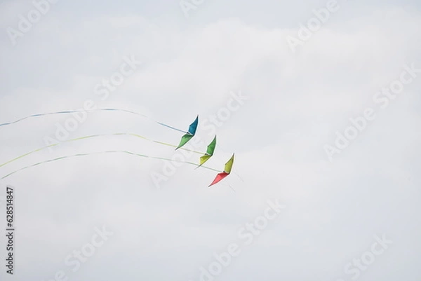 Obraz Drachenfestival