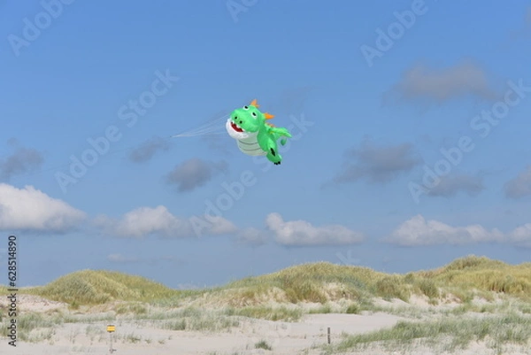 Obraz Drachenfestival