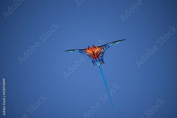 Obraz Drachenfestival