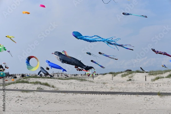 Obraz Drachenfestival