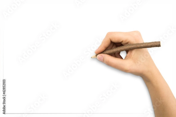 Fototapeta Hand drawing with tree trunk pencil, gesture