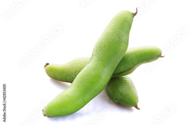 Fototapeta そら豆