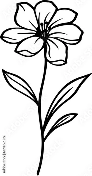 Obraz flower minimal style 