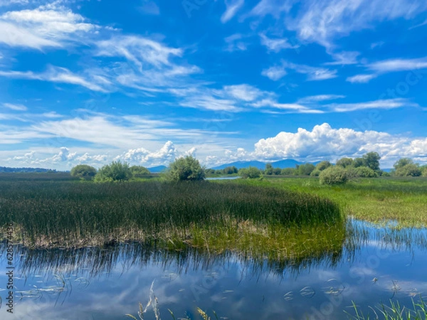 Fototapeta Scenic view of the Wood River wetland in Klamath Falls, Oregon with wispy clouds.