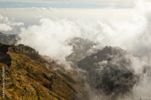 Obraz Madera Madeira