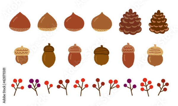 Fototapeta 秋の植物の手書きベクターイラストセット／どんぐり・くり・まつぼっくり・赤い実