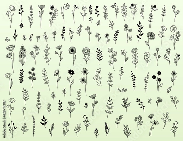 Obraz Wildflower Doodle Drawing, Minimalistic Flowers & Greenery Line Drawing Set, Vector Floral Clip Art, Hand-drawn, For Decoration, Wedding, Marketing, Branding, Cricut Laser Cut, Crafting