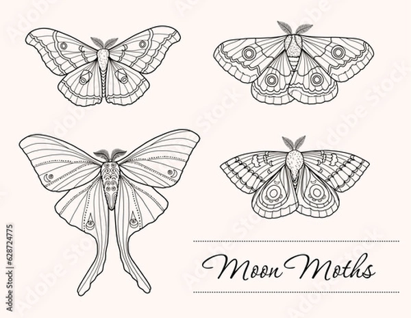 Obraz Lunar Moth Vector Illustration, Moon Moth Doodle Set, Vector Butterflies, Hand-drawn Butterfly & Moth Bundle