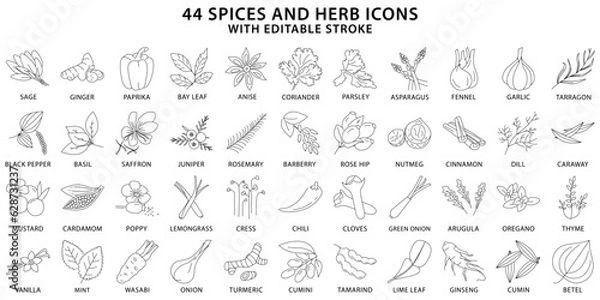 Fototapeta Spices And Herbs icons. Spices icon set. Herb icon set. Line icons. Vector Illustration. Editable Stroke.