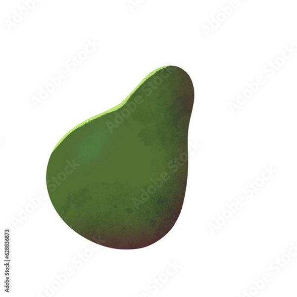 Fototapeta Avocado illustration