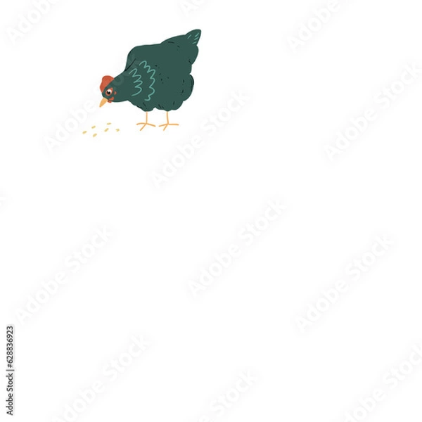 Fototapeta Chicken illustration