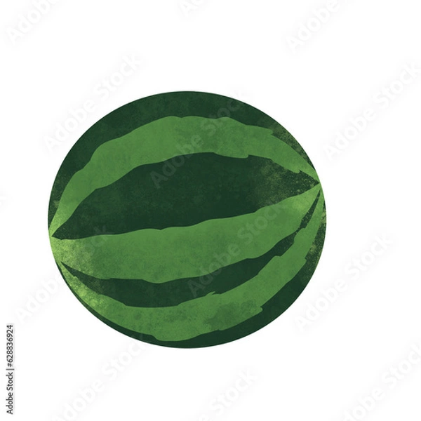 Fototapeta watermelon illustration