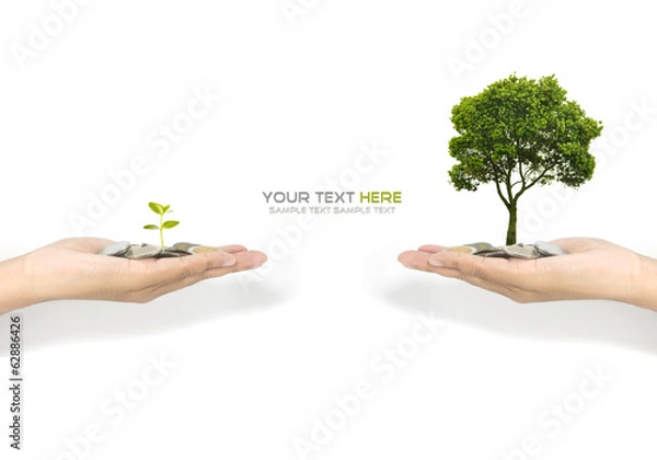 Obraz Koncepcja inwestycyjna