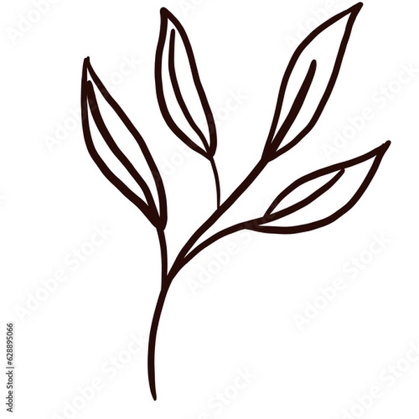 Obraz floral line art doodle element, for background, wallpaper, pattern 
