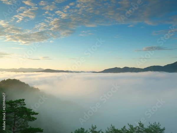 Fototapeta 雲海が出ている山の風景