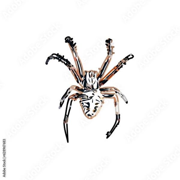 Obraz Color sketch of spider with transparent background