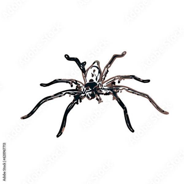 Obraz Color sketch of spider with transparent background