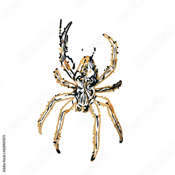 Obraz Color sketch of spider with transparent background