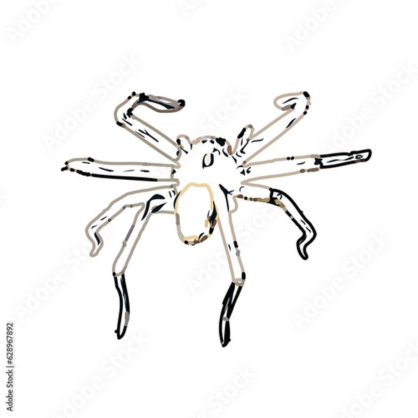 Obraz Color sketch of spider with transparent background
