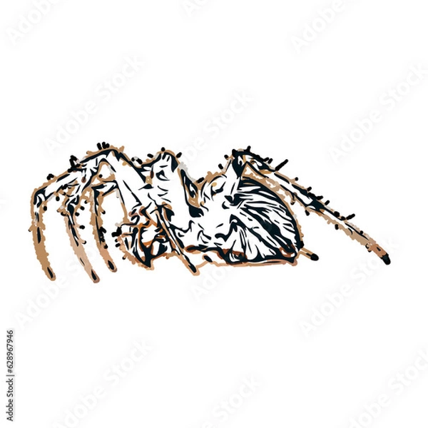 Obraz Color sketch of spider with transparent background