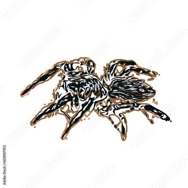Obraz Color sketch of spider with transparent background